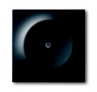 B+J impuls, Blindzentralscheibe, schwarz matt 1742-775