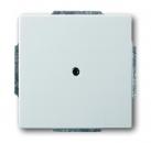 B+J pur edelstahl, Blindzentralscheibe 1742-866