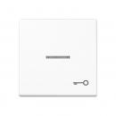 Jung AS500 Kontroll Wippe mit Symbol Tuer Alpinweiß A590KO5TWW