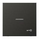 Jung LS990 Kontroll Wippe mit SYmbol TuerAnthrazit AL2990KO5TAN