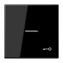 Jung LS990 Kontroll Wippe mit Symbol Tuer Schwarz LS990KO5TSW