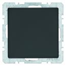 Berker Q.1/Q.3 Blindplatte anthrazit, samt 10096086