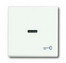 B+J future® linear, Wippen mit Symbol "Schlüssel", studioweiß matt 1789 TR-884