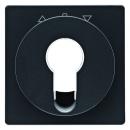 Berker Q.1/Q.3 Abdeckung Schlüsselschalter anthrazit, samt 15066086