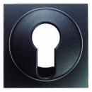 Berker B.3/B.7 Abdeckung SchlŸsselschalter anthrazit, matt 15071606