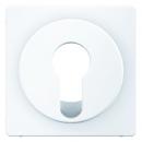 Berker Q.1/Q.3 Abdeckung Schlüsselschalter polarweiß, samt 15076089