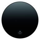 Berker R.1/R.3 Wippe+Symboll Licht schwarz, glänzend 16202035
