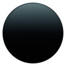 Berker R.1/R.3 Wippe schwarz, glänzend 16202045