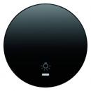 Berker R.1/R.3 Kontroll Wippe+Symboll Licht schwarz, glänzend 16212035