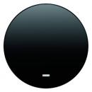 Berker R.1/R.3 Kontroll Wippe schwarz, glänzend 16212045