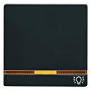 Berker Q.1/Q.3 Kontroll Wippe+Symboll Licht anthrazit, samt 16216076