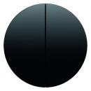 Berker R.1/R.3 Serien Wippe schwarz, glänzend 16232045