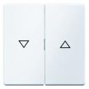 Berker Q.1/Q.3 Jalousie Wippe polarweiß, samt 16256089