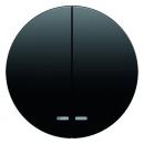 Berker R.1/R.3 Serien Kontroll Wippe schwarz, glänzend 16272045