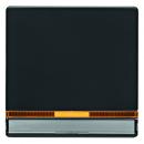 Berker Q.1/Q.3 Kontroll Wippe Beschriftungsfeld anthrazit, samt 16286086