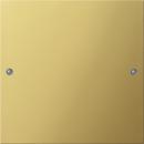 Gira Wippenset 1f System 55 Messing 2131606