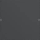 Gira Wippenset 1f Tastsens.4 TS4 Anthrazit(lack.) 5021928