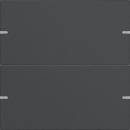 Gira Wippenset 2f Tastsens.4 TS4 Anthrazit(lack.) 5022928