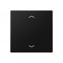 Jung Steuertaste Standard, Symbol Pfeil, Thermoplast lackiert, Serie A, graphitschwarz matt A1700BFPSWM