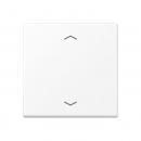 Jung Steuertaste Standard, Symbol Pfeil, Thermoplast lackiert, Serie A, schneeweiß matt A1700BFPWWM