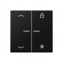 Jung Steuertaste Universal, Symbole Sperren Memory und Pfeil, Thermoplast lackiert, Serie A, graphitschwarz matt A1701BFPSWM