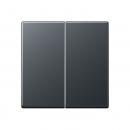 Jung Steuertaste 2fach Standard, Thermoplast lackiert, Serie A, anthrazit matt A1702BFANM