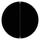 Berker Taste 2fach Berker R.1/R.3 schwarz, glänzend 85142131