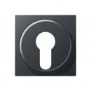 Jung Abdeckung für Schlüsselschalter mit Demontageschutz, Thermoplast lackiert, Serie A, anthrazit matt A528PLANM