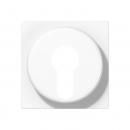 Jung Abdeckung für Schlüsselschalter mit Demontageschutz, Thermoplast lackiert, Serie A, graphitschwarz matt A528PLSWM