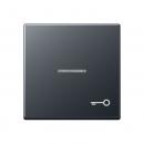 Jung Wippe 1fach mit Lichtleiter, Symbol Tür, Thermoplast lackiert, Serie A, anthrazit matt A590BFKO5TANM