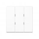 Jung Wippe 3fach, Thermoplast lackiert, Serie A, schneeweiß matt A593BFWWM