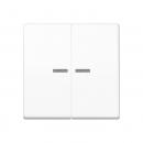 Jung Wippe 2fach mit Lichtleiter, Duroplast antibakteriell, Serie AS, alpinweiß ABAS591-5KO5WW