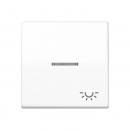 Jung Wippe 1fach mit Lichtleiter, Symbol Licht, Duroplast antibakteriell, Serie AS, alpinweiß ABAS591KO5LWW