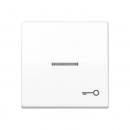 Jung Wippe 1fach mit Lichtleiter, Symbol Tür, Duroplast antibakteriell, Serie AS, alpinweiß ABAS591KO5TWW
