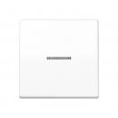 Jung Wippe 1fach mit Lichtleiter, Duroplast antibakteriell, Serie AS, alpinweiß ABAS591KO5WW