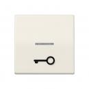 Jung Wippe 1fach mit Lichtleiter, mit abtastbarem Symbol "Tür", Duroplast antibakteriell, Serie AS, weiß ABAS591T1KO5