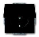 B+J future® linear,Steckdose mit Klappdeckel, schwarz matt 20 EUK-885