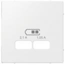 Merten Zentralplatte fŸr USB Ladestation-Einsatz, polarwei§ gl_nzend, System M MEG4367-0319