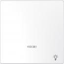 Merten Wippe mit Kontrollfenster und Aufdruck Licht, Lotoswei§, System Design MEG3322-6035