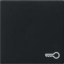 Gira Wippe Symb. TŸr System 55 Schwarz m 0287005