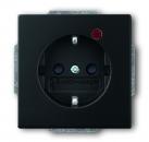 B+J future® linear Busch-Protector Steckdosen  schwarz matt  2310EUGL/VA-885-11