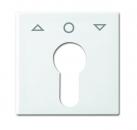 B+J balance SI Abdeckungen SchlŸsselschalterJalousiesteuerung alpinweiss 2557 PZ-914-101