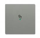 B+J Wippe, graumetallic, Busch-free@home, Abdeckungen solo 6234-10-803