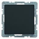 Berker Blindverschluss mit Zentralstueck anthrazit samt Berker Q.1/Q.3 6710096086