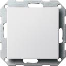 Gira System 55 Blindabdeckung mit Tragring Reinwei§ gl_nzend 026803
