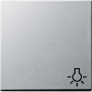 Gira System 55 Wippe+Symbol Licht Farbe Alu 028526