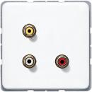 JUNG Cinch Audio und Composite Video, Tragring, Schraubbefestigung MACD1031WW