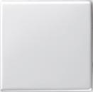 Gira System 55 Wippe Reinwei§ gl_nzend 029603