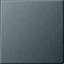 Gira System 55 Wippe Anthrazit 029628