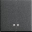 Gira System 55 Serien Kontroll Wippe Anthrazit 363128